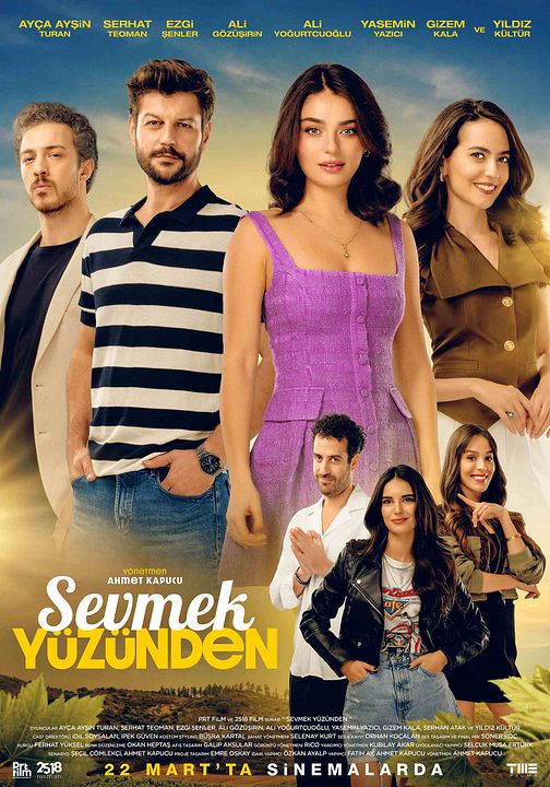 Sevmek Yüzünden : Afiş