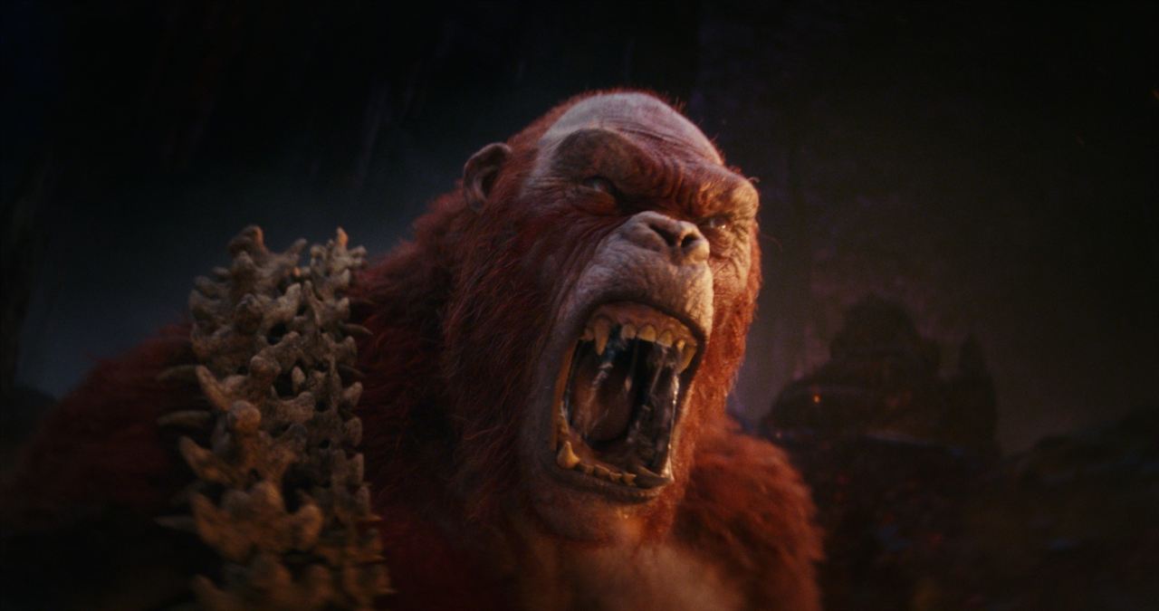 Godzilla ve Kong: Yeni İmparatorluk : Fotoğraf