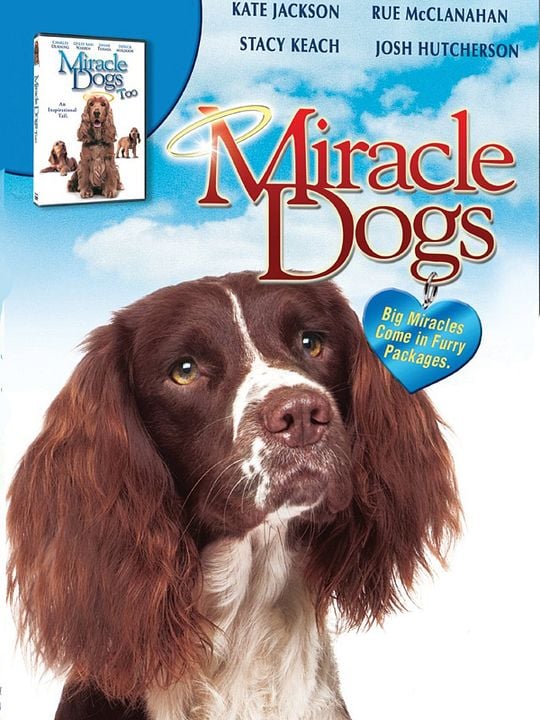 Miracle Dogs : Afiş