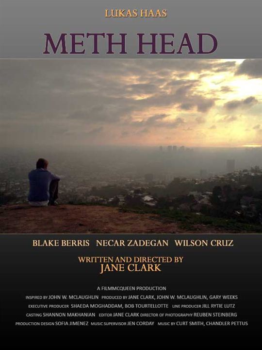 Meth Head : Afiş