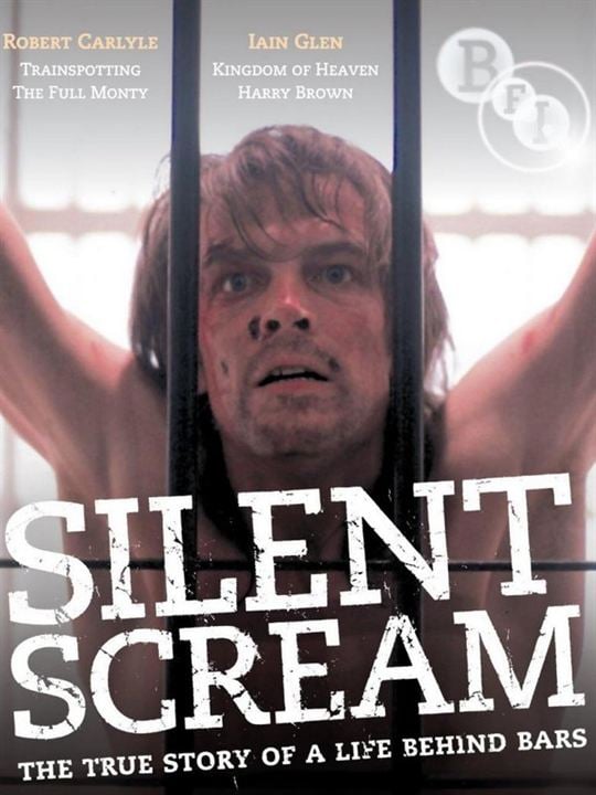 Silent Scream : Afiş
