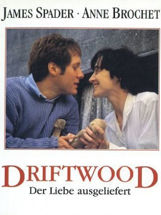 Geçmişi Ararken : Afiş