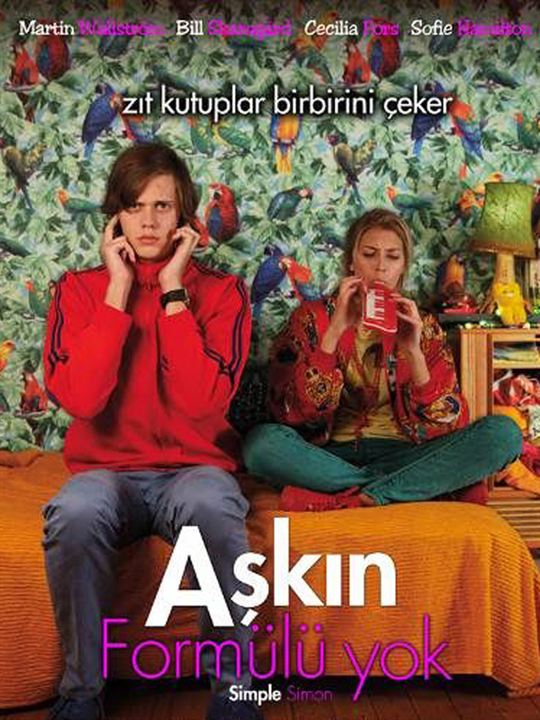 Aşkın Formülü Yok : Afiş