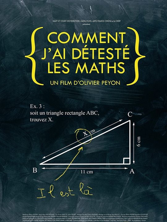 Comment j'ai détesté les Maths : Afiş