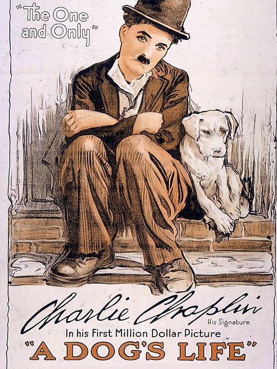 A Dog's Life : Afiş