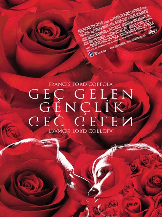 Geç Gelen Gençlik : Afiş